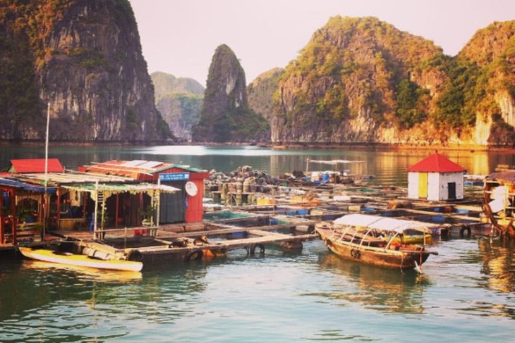 Viet Hai Village: All Travel Guide For Your Trip Viet Hai Village: All Travel Guide For Your Trip